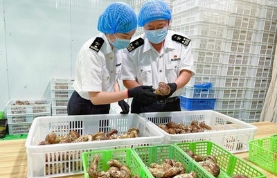 雲南省の企業がRCEP貿易で2.5億円の関税減免 日本にはマツタケ輸出