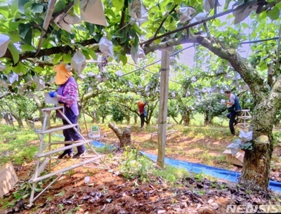 高齢化が加速する韓国…人口減少地域89カ所で「農村消滅の危機」