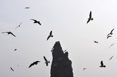 「宝船」発見主張の韓国企業、株価乱高下で規制当局が警告