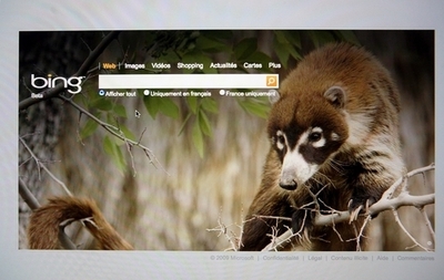 米MSの検索サイトBing、WolframAlphaと提携