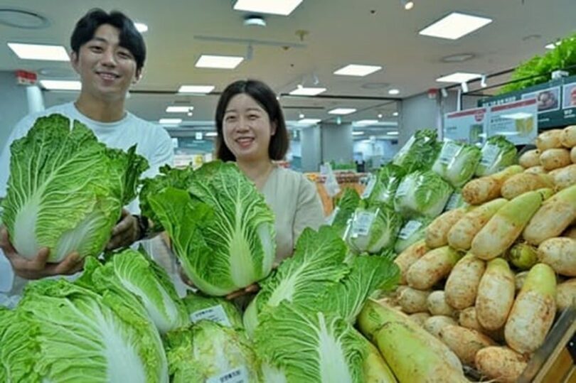 ゼタプレックス蚕室店で、白菜をPRする関係者=ロッテマート(c)KOREA WAVE