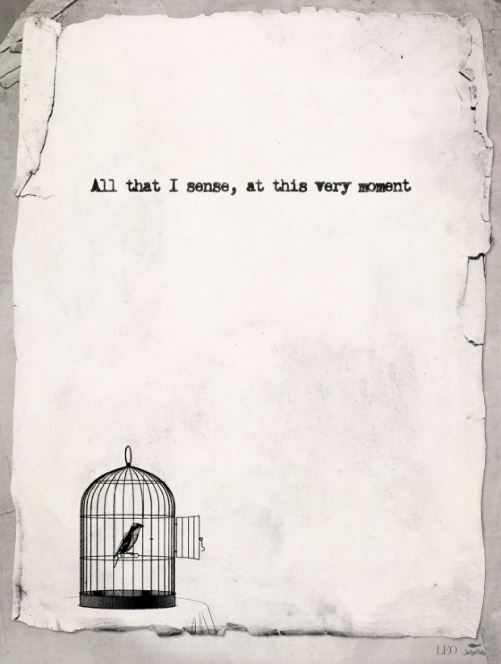 写真提供＝JELLY FISH エンターテイメント