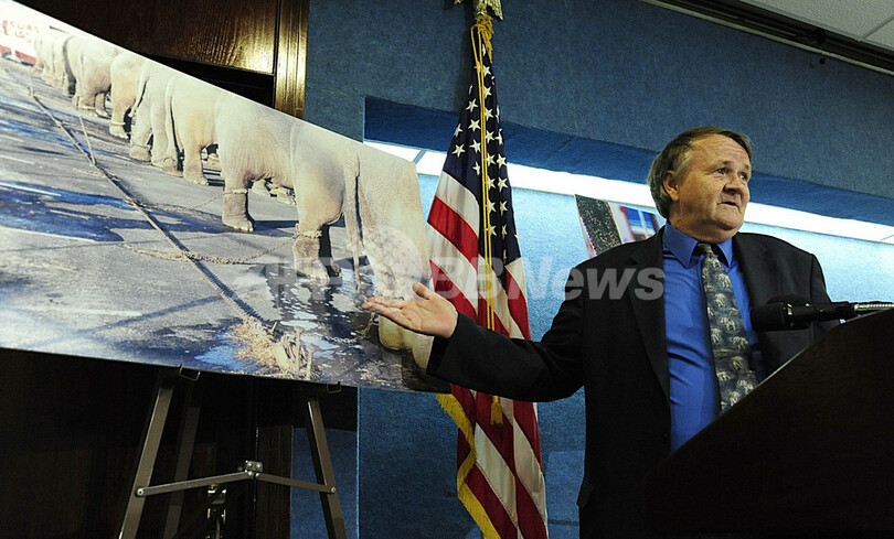 米有名サーカス団「リングリング」が法廷へ、ゾウ虐待で訴えられる