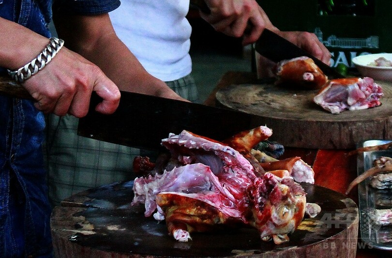 ベトナムで根強い猫肉食の習慣、飼い主は捕獲リスクに戦々恐々