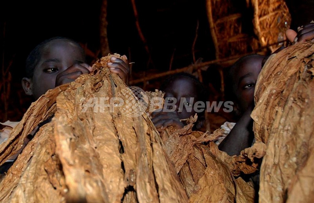 畑に雨が降らない呪いをかけた男に有罪判決、マラウイ 写真1枚 国際ニュース：AFPBB News