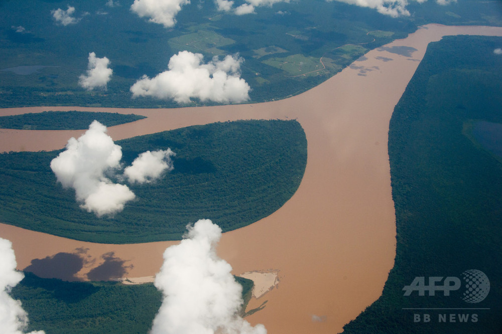 アマゾンのダム新設で 大規模な 環境破壊の恐れ 研究 写真1枚 国際ニュース afpbb news