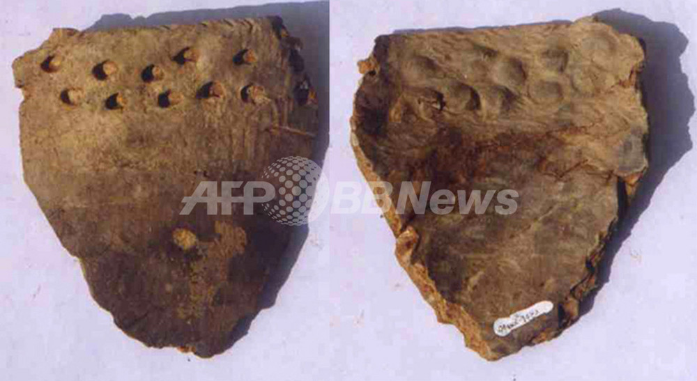 中国で世界最古の陶器片を発見、2万年前 写真2枚 国際ニュース：AFPBB News