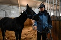中国・希諾谷によるクローン馬「壮壮」。北京の乗馬クラブで（2023年1月12日撮影）。(c)Jade GAO / AFP