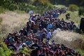 ハンガリーとクロアチアの国境を超える移民たち（2015年9月21日撮影）。(c)AFP/ATTILA KISBENEDEK