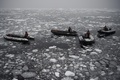 南極半島西部。(c)AFP/EITAN ABRAMOVICH
