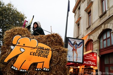 エコサイド」法案、仏下院で可決 環境破壊に罰則 写真1枚 国際ニュース 