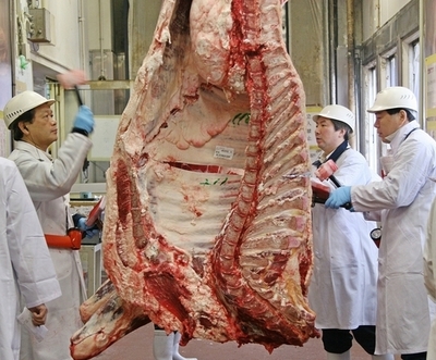 吉野家の米国産牛肉に危険部位、輸入を一時停止