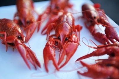 ザビワカ、ザリガニ、デリバリー 中国流W杯の盛り上げ方