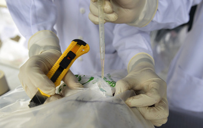 不審船から2トンを超えるコカイン、英スコットランド沖