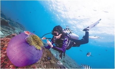 海底で「植林」して生態系を守る 中国