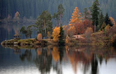 秋深まるドイツは紅葉が真っ盛り