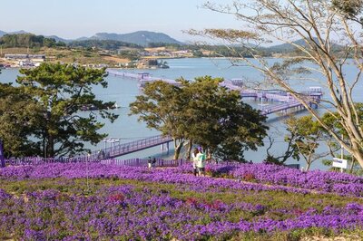 物価高でも旅行をあきらめない…韓国の「コスパ良い」旅行地6カ所 (1) – KOREA WAVE