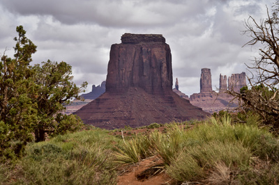 米先住民ナバホ指導部、脆弱な居留地への新型コロナの影響を懸念