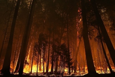 米カリフォルニア州の山火事、州史上7番目の規模に