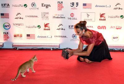レッドカーペットに珍客? エジプト映画祭