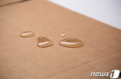 プラスチック・発泡スチロールはアウト…韓国製紙業界「環境にやさしいパッケージ」開発に注力