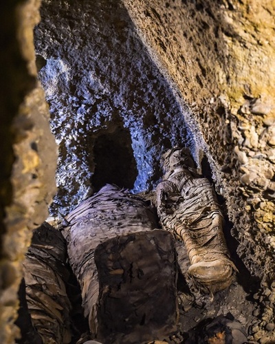 エジプト遺跡でミイラ40体超を公開、約2000年前のものか