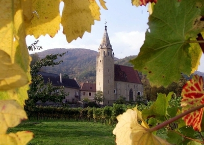 若いカップルに無償で土地提供、オーストリア小村の過疎対策