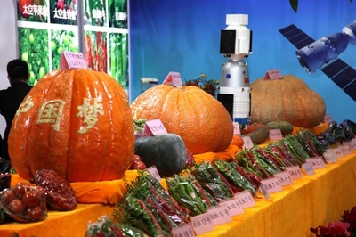 陝西自由貿易試験区 「一帯一路」周辺国と新方式を模索 中国・陝西