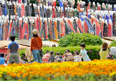 こいのぼり1200匹、相模川の上をスイスイ