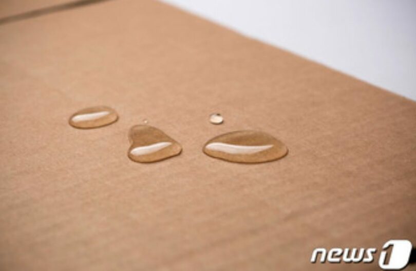 グローバルセアテリム包装「高性能エコ保冷箱」イメージ＝グローバルセア提供(c)news1