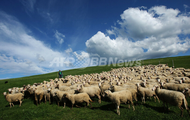 ジャガイモ畑に恵みの雨を待ち望む