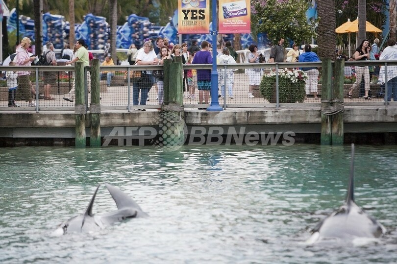 女性トレーナーがシャチに襲われ死亡、米の水族館