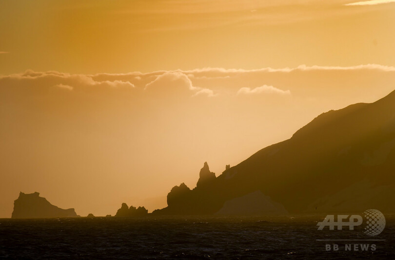 【AFP記者コラム】南極取材、スリルのペンギン撮影記