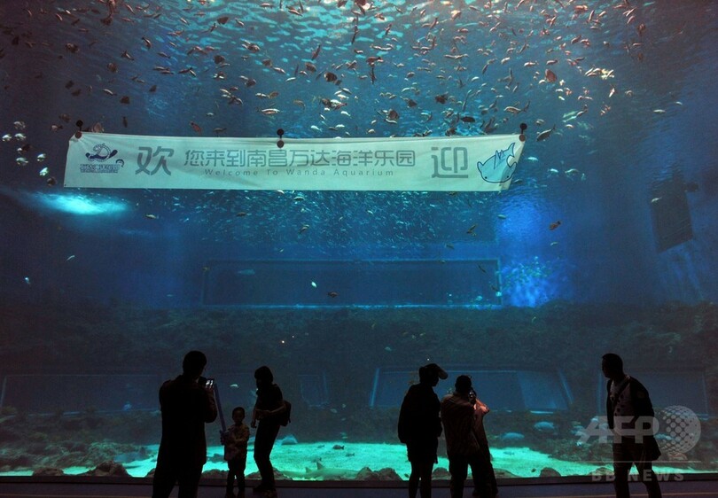 中国の新テーマパーク、関連施設にディズニーキャラ登場で弁明