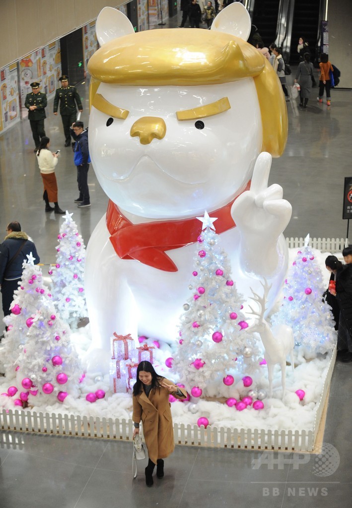 巨大 トランプ犬 像 中国で登場 来年の干支にちなみ 写真5枚 国際ニュース Afpbb News