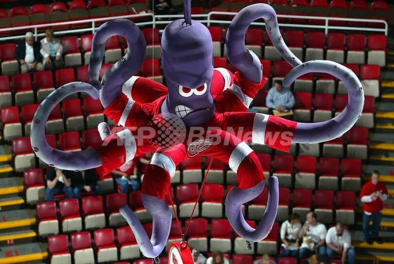 タコは「足」より「腕」の数が多い、欧州の水族館が調査