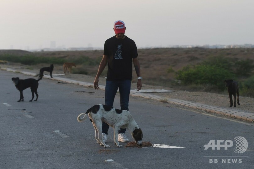 犬や猫たち数百匹死ぬ、新型コロナで閉鎖のペット市場で パキスタン