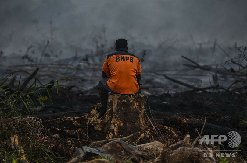 インドネシアで森林火災急増 マレーシアにスモッグ広がる