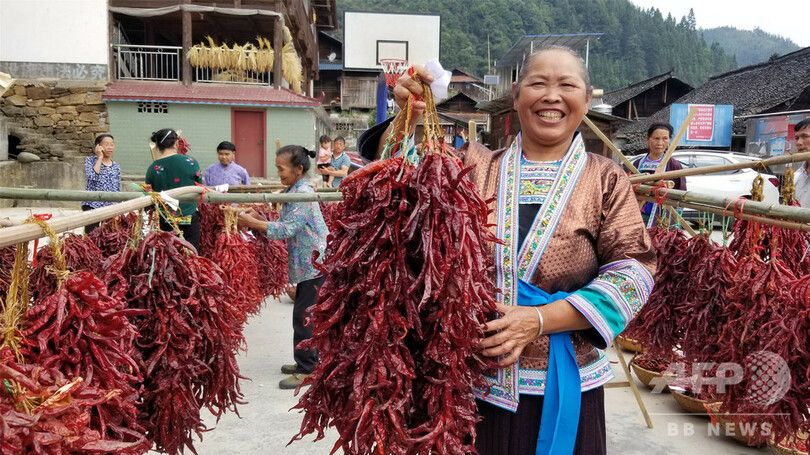 少数民族の集落でトウガラシの「美人コンテスト」 中国