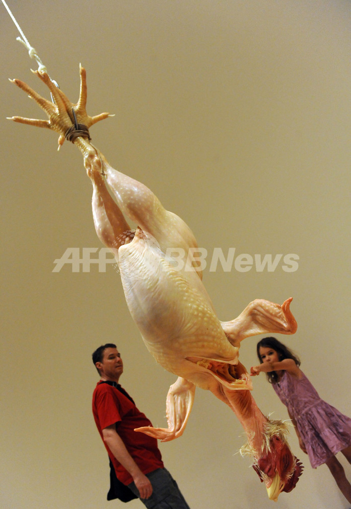 動き出しそうな彫刻、ロン・ミュエック作品展 オーストラリア