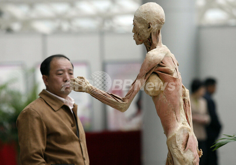 中国で実物人体標本の展覧会、リアルな内臓に来場者らびっくり
