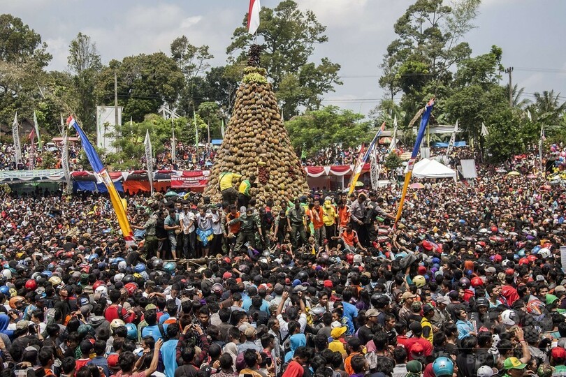 インドネシアでドリアン祭り、果実守る警官も必死