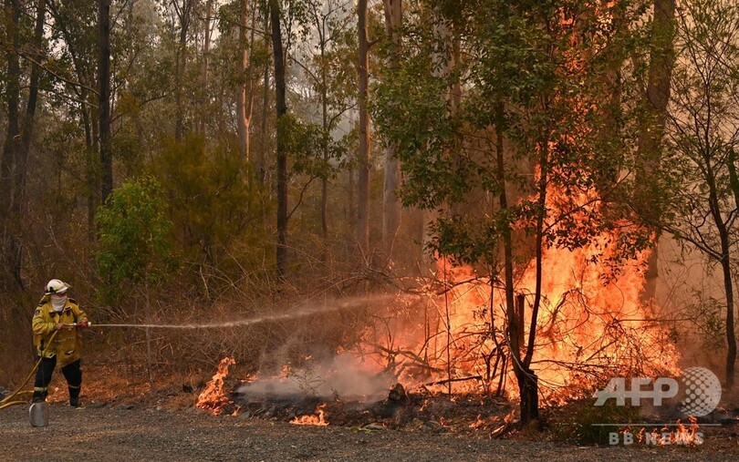 豪森林火災で3人死亡、150軒が焼損 消火活動続く