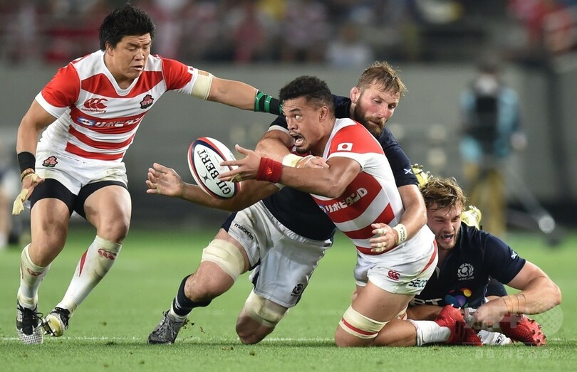 ラグビー日本、スコットランドに2連敗 天覧試合飾れず