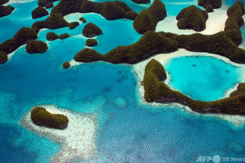パラオ、違法操業の中国漁船拿捕 乗組員はコロナ対策で14日間隔離