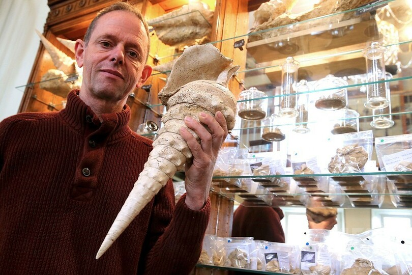 仏シャンパーニュ地方の「貝殻の洞窟」、60センチ巨大巻貝の化石も