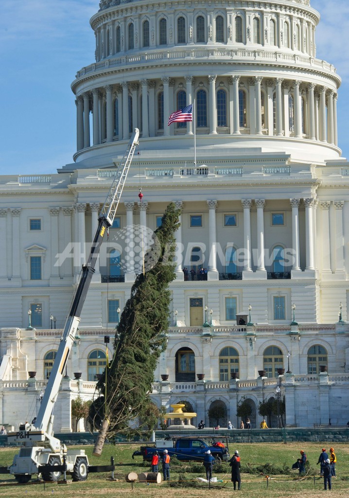 クリスマスまで1か月、米連邦議会議事堂にツリー設置