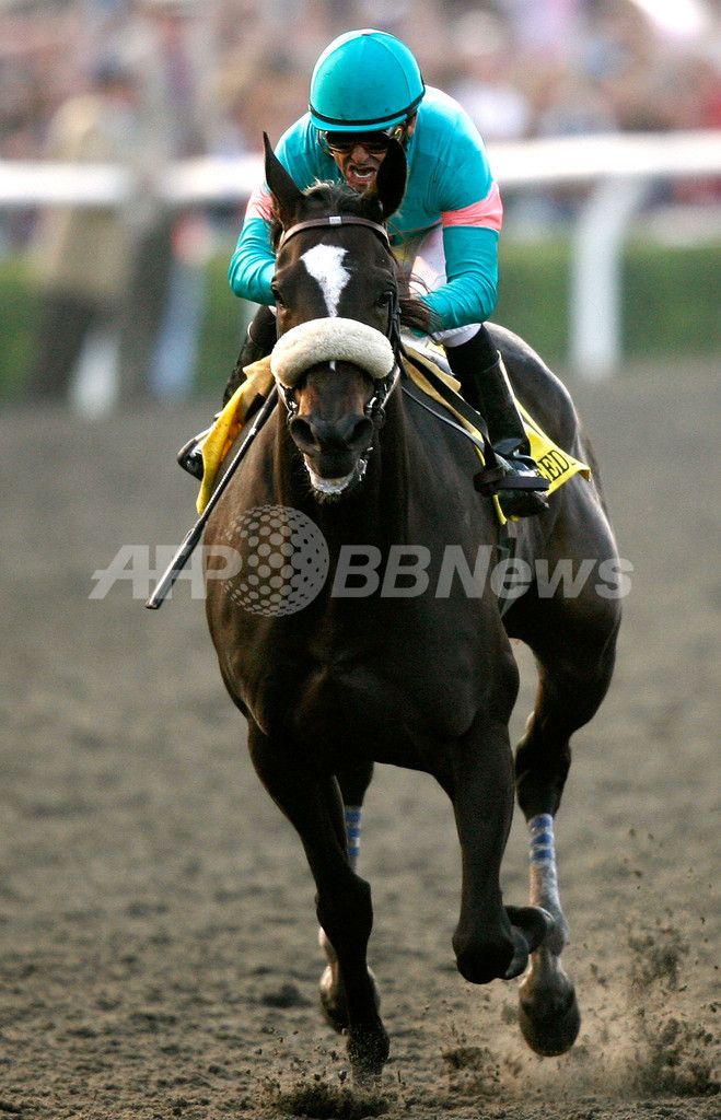 ゼニヤッタが14連勝でブリーダーズカップ・クラシック制覇