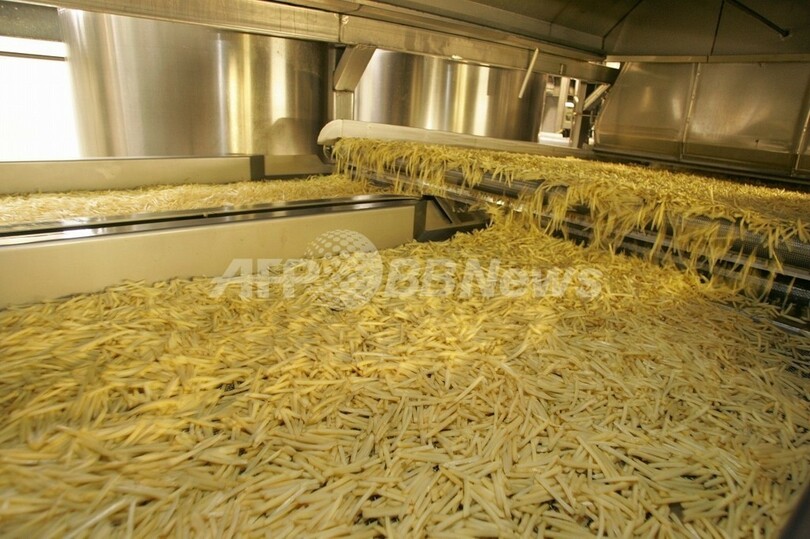 フレンチフライ1トンを押収、スイス