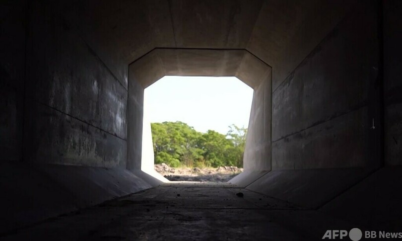 ハンガリー・セルビア鉄道 動植物にも配慮